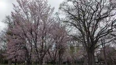 上川神社頓宮の自然