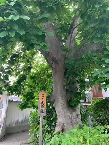 芳林寺(埼玉県)