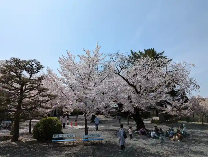本願寺山科別院(京都府)