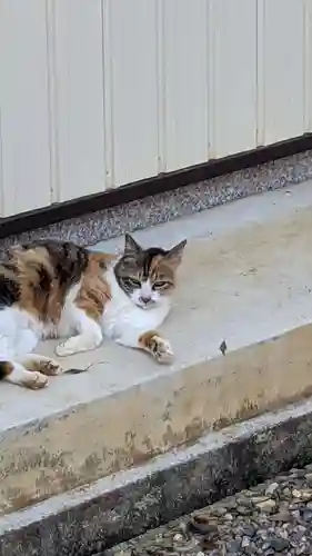 玉野御嶽神社の動物