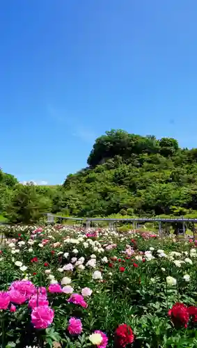 金蛇水神社(宮城県)