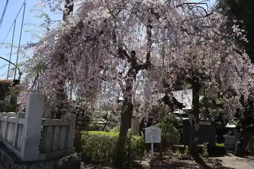 白蛇辨財天(栃木県)