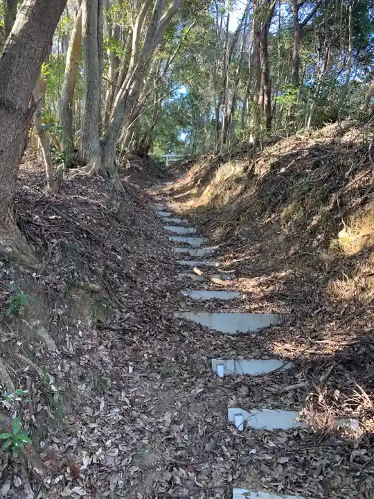 浅間神社の自然