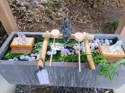 下野 星宮神社(栃木県)