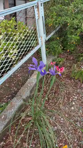 隆善寺(福岡県)
