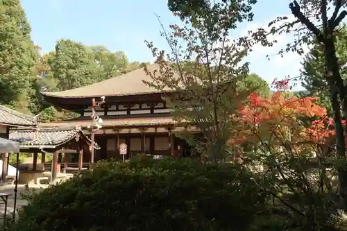 法界寺(日野薬師)(京都府)