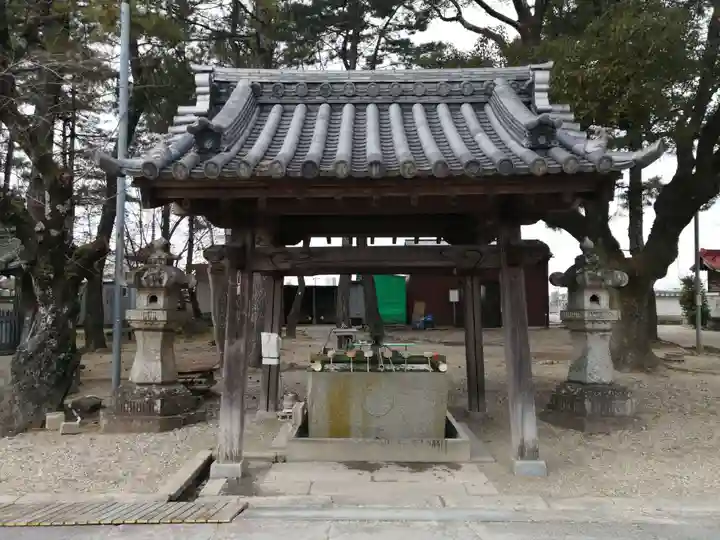 大樹寺(松安院大樹寺)の手水舎