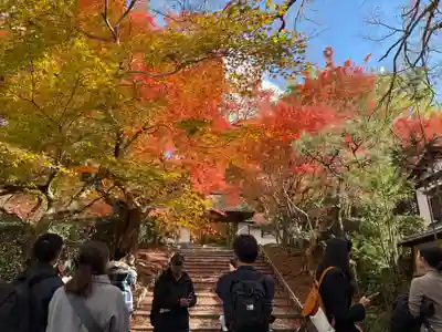 安楽寺(京都府)