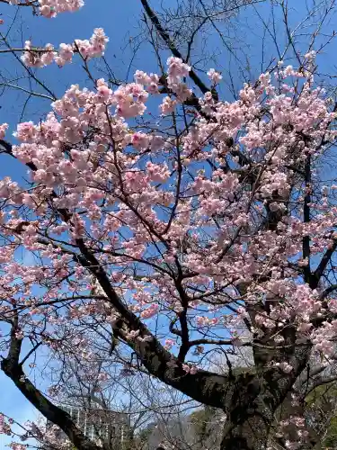 靖國神社の{uncategorized: "未分類", other: "その他", undefined: "問題あり", building: "その他建物", grave: "お墓", sacred_gate: "鳥居", guardian: "狛犬", statue: "像", buddha: "仏像", history: "歴史", nature: "自然", garden: "庭園", animal: "動物", pagoda: "塔", temizu: "手水舎", mountain_gate: "山門・神門", sanctuary: "本殿・本堂", subordinate: "末社・摂社", art: "芸術", scenery: "景色", jizo: "地蔵", ema: "絵馬", goshuin: "御朱印", omikuji: "おみくじ", items: "授与品その他", amulet: "お守り", goshuincho: "御朱印帳", eats: "食事", festival: "お祭り", votive_dance: "神楽", shichigosan: "七五三参", wedding: "結婚式", experience: "体験その他", initially: "初詣", around: "周辺", anti_infection: "感染症対策"}