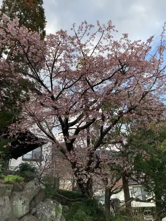 瑞応寺(神奈川県)