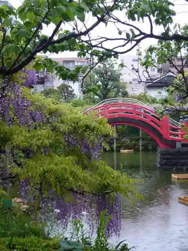 亀戸天神社の景色