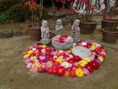 岡寺(龍蓋寺)(奈良県)