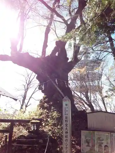 熊野皇大神社のその他建物