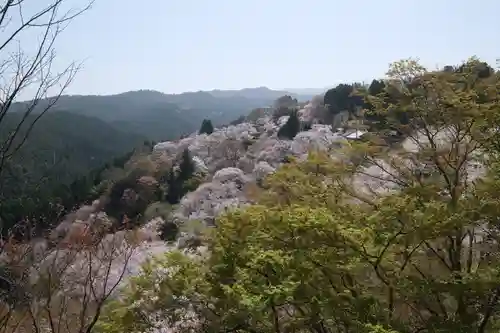 金峯山寺の景色