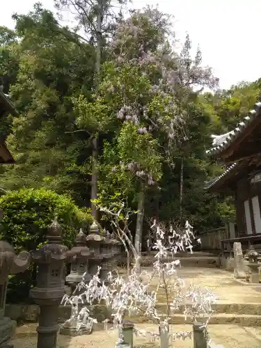 由加神社（和気由加神社）の自然
