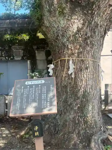 水尾神社(兵庫県)