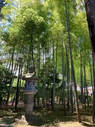 天台宗　長窪山　正覚寺の庭園