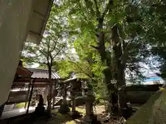 曽祢神社(奈良県)