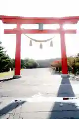 樽前山神社の鳥居