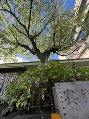 廣田神社～病厄除守護神～(青森県)