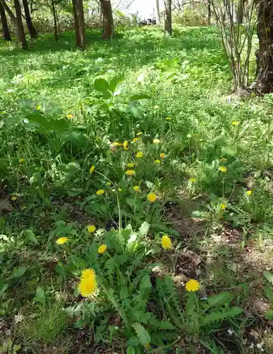 中嶋神社の自然