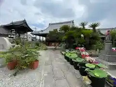 浄谷寺(大阪府)