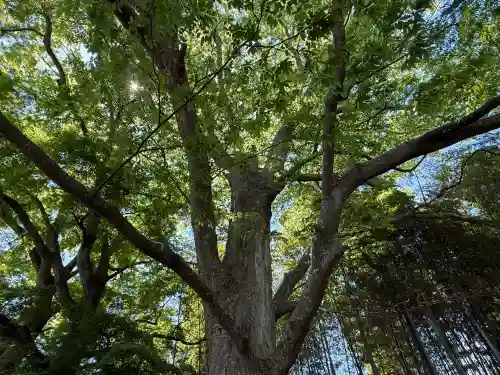 水戸八幡宮(茨城県)