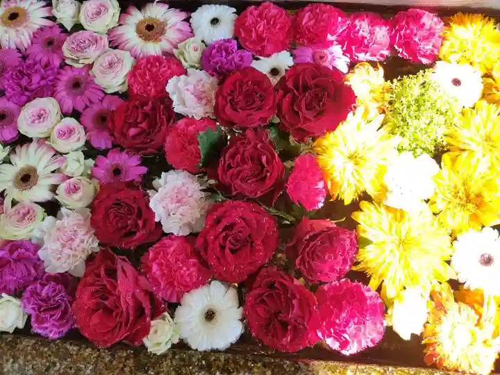 津島神社の手水舎