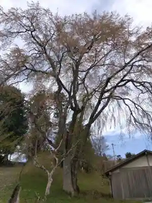 八幡宮社(京都府)