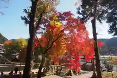 静原神社の自然