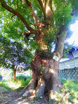 和爾良神社の自然