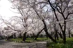 平野神社の庭園