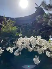 尾上神社の本殿