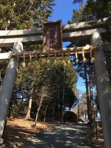 冨士御室浅間神社の鳥居