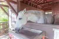 鹿児島神宮(鹿児島県)