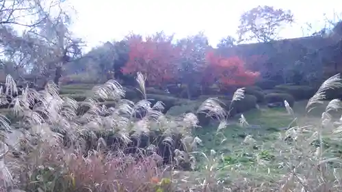 八塔寺(岡山県)