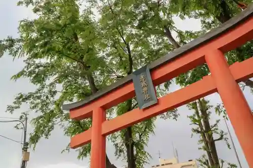 赤城神社の鳥居