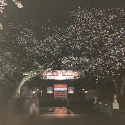 富士山本宮浅間大社(静岡県)