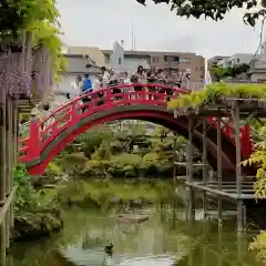 亀戸天神社の庭園