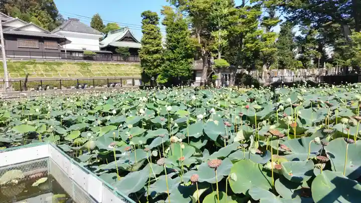 法華経寺(千葉県)