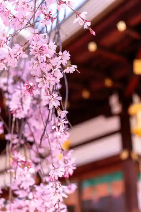 北野天満宮(京都府)