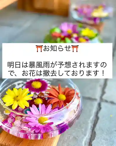 伊達神社(北海道)