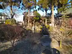 善導寺の庭園