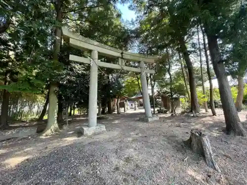 志那神社(滋賀県)