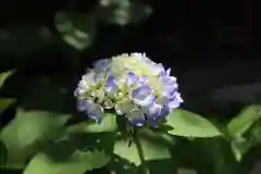 高麗神社の自然