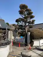 自元寺の山門・神門