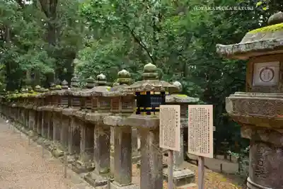 春日大社 若宮（春日若宮）(奈良県)