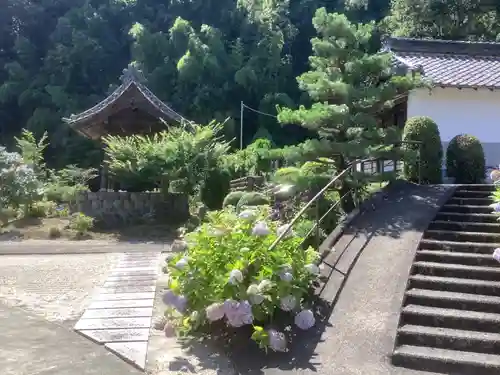 大泉寺の庭園