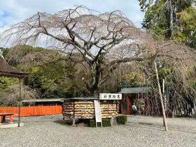 富士山本宮浅間大社(静岡県)