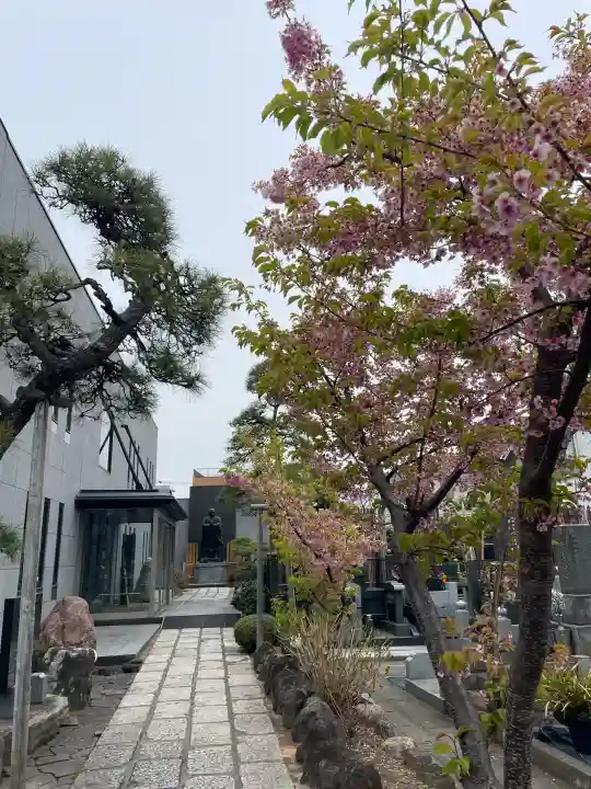 善慶寺の{uncategorized: "未分類", other: "その他", undefined: "問題あり", building: "その他建物", grave: "お墓", sacred_gate: "鳥居", guardian: "狛犬", statue: "像", buddha: "仏像", history: "歴史", nature: "自然", garden: "庭園", animal: "動物", pagoda: "塔", temizu: "手水舎", mountain_gate: "山門・神門", sanctuary: "本殿・本堂", subordinate: "末社・摂社", art: "芸術", scenery: "景色", jizo: "地蔵", ema: "絵馬", goshuin: "御朱印", omikuji: "おみくじ", items: "授与品その他", amulet: "お守り", goshuincho: "御朱印帳", eats: "食事", festival: "お祭り", votive_dance: "神楽", shichigosan: "七五三参", wedding: "結婚式", experience: "体験その他", initially: "初詣", around: "周辺", anti_infection: "感染症対策"}